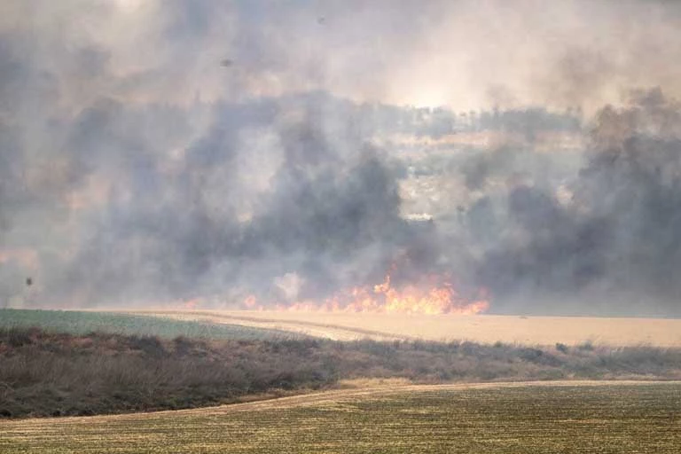 صورة 2 تل أبيب