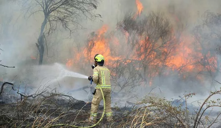 صورة 3 تل أبيب