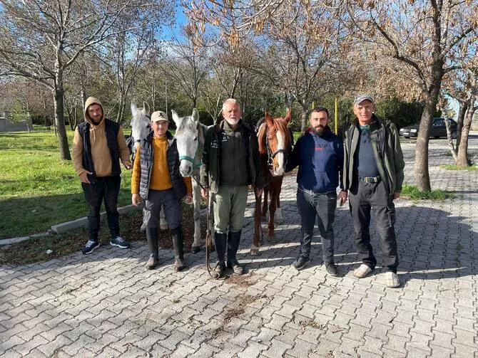 صورة 2 رحلة إسبان إلى مكة