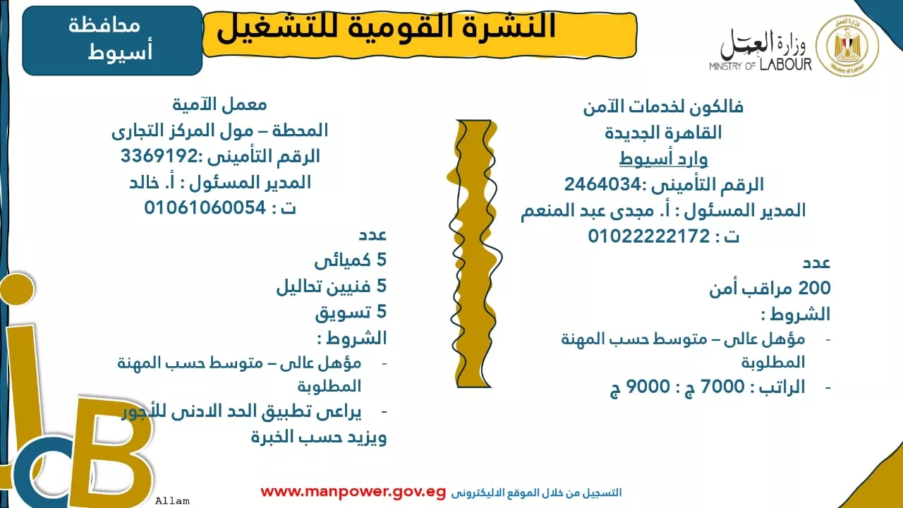 فرص عمل جديدة متاحة في مختلف المحافظات (35)