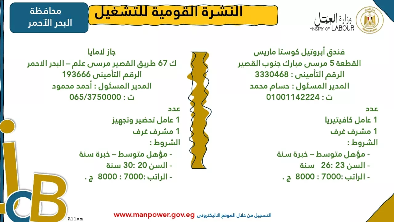 فرص عمل جديدة متاحة في مختلف المحافظات (36)