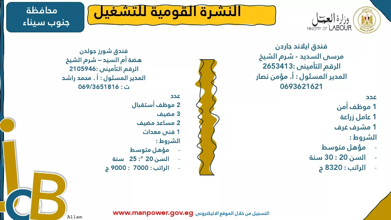 فرص عمل جديدة متاحة في مختلف المحافظات (44)