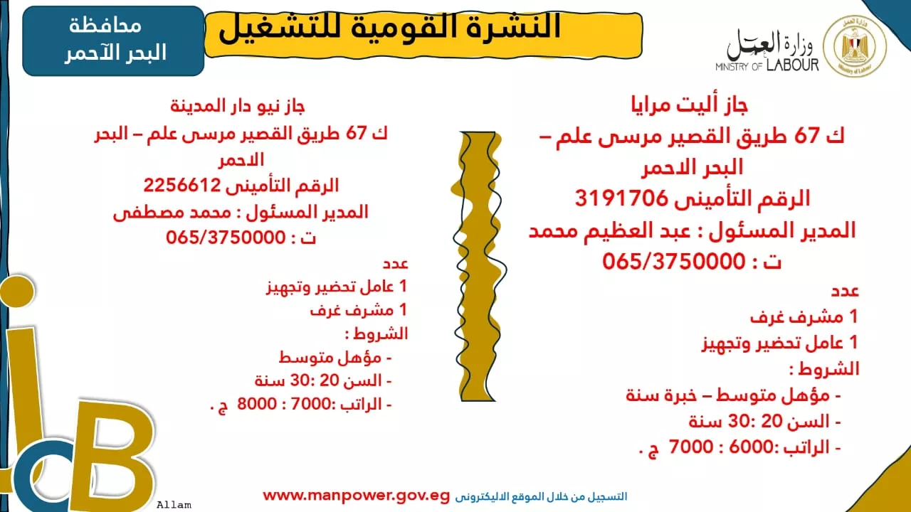 فرص عمل جديدة متاحة في مختلف المحافظات (60)