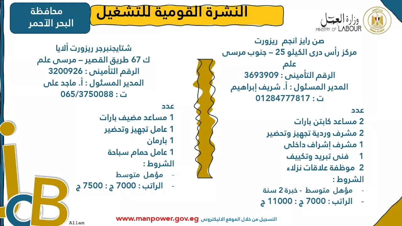 فرص عمل جديدة متاحة في مختلف المحافظات (63)