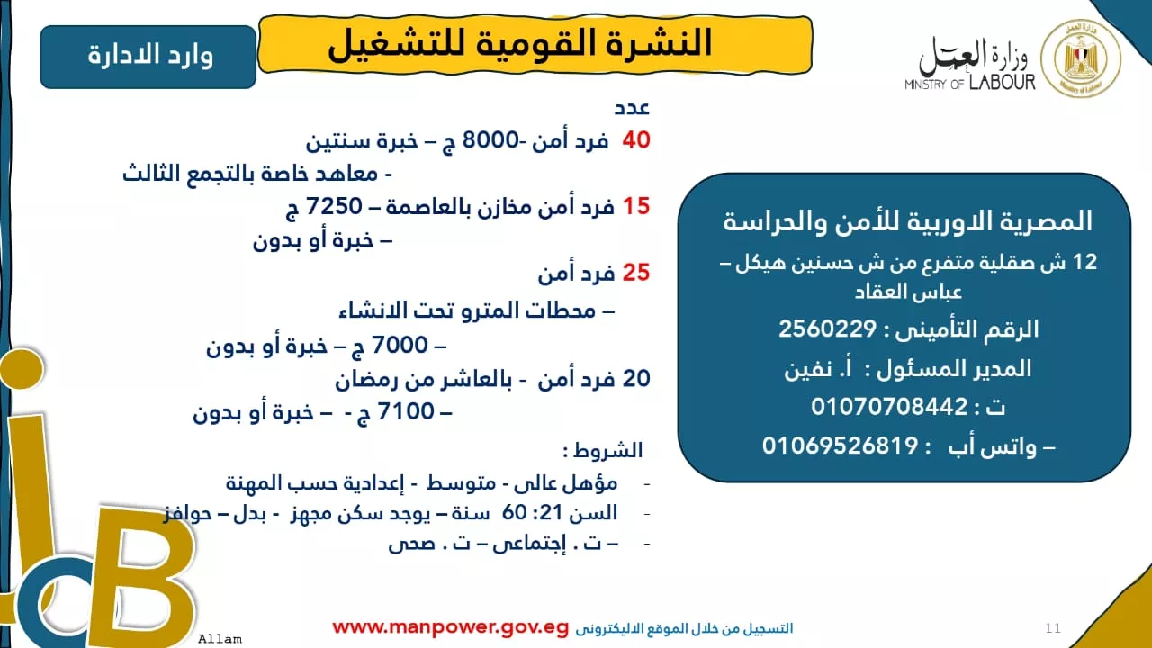 فرص عمل جديدة متاحة في مختلف المحافظات (66)