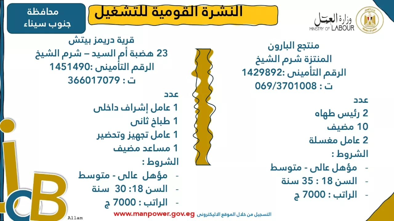 فرص عمل جديدة متاحة في مختلف المحافظات (51)