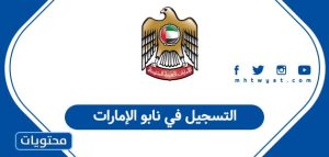 التسجيل في نابو الإمارات 2025: رابط إنشاء الحساب وخطوات التفعيل | الشرق ...